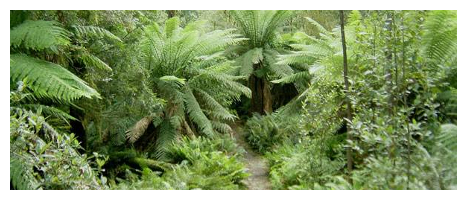 Interior Planting Image