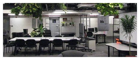 Interior Planting Image
