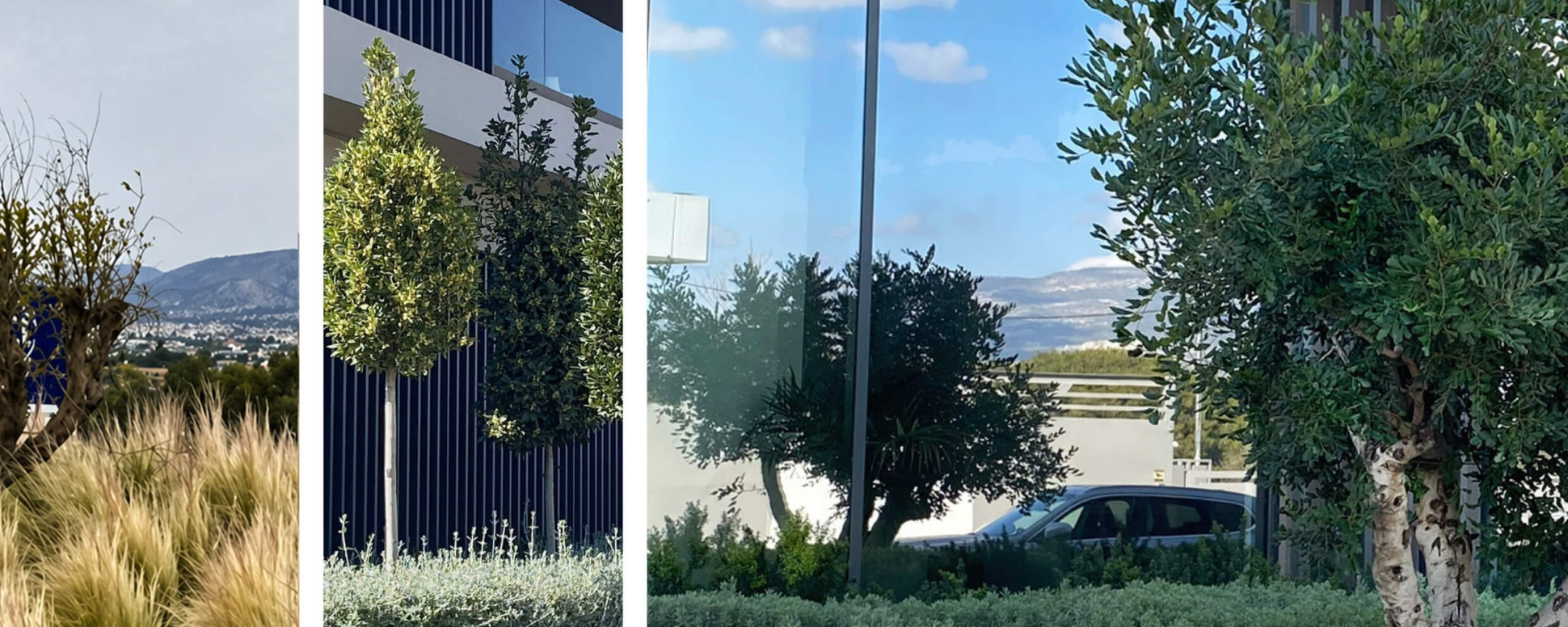 Project: Office Building in Nea Kifisia
