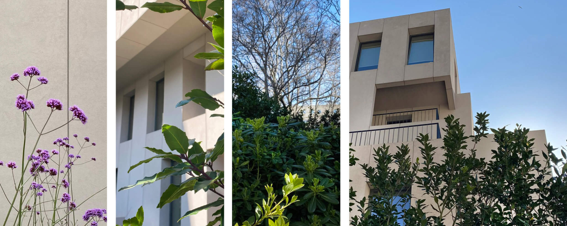 Project: Office Complex in Metamorfosi